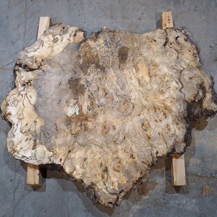 Caucasian walnut burl, approx. 1200 x 990 x 55 mm, 41232