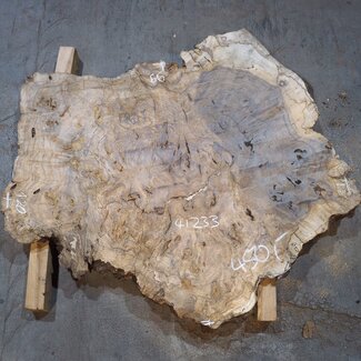 Kaukasischer Nussbaum Maser, ca. 1200 x 990 x 50 mm, 41233