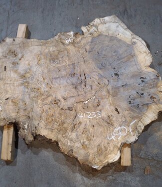 Caucasian walnut burl, approx. 1200 x 990 x 50 mm, 41233