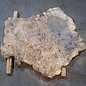 Caucasian walnut burl, approx. 1200 x 990 x 50 mm, 41233