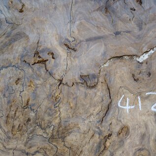 Caucasian walnut burl, approx. 1200 x 990 x 50 mm, 41233