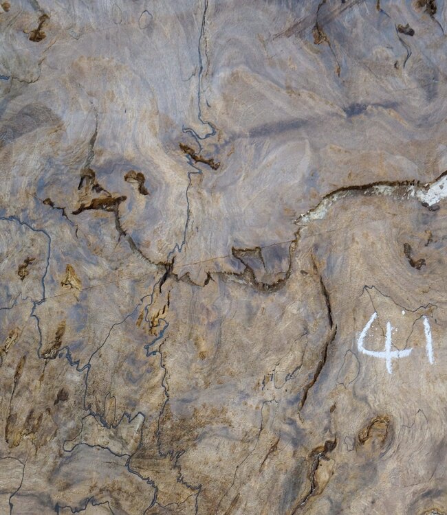 Caucasian walnut burl, approx. 1200 x 990 x 50 mm, 41233