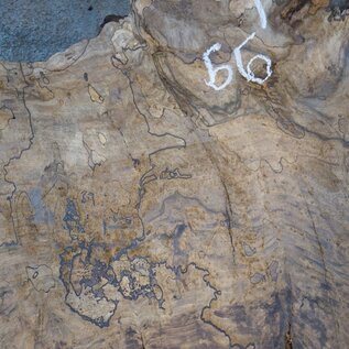 Caucasian walnut burl, approx. 1200 x 990 x 50 mm, 41233