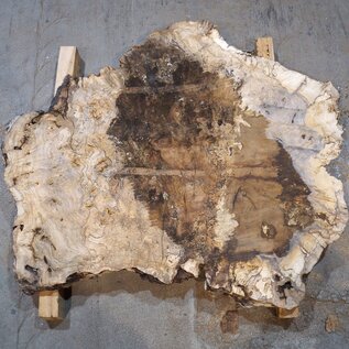 Caucasian walnut burl, approx. 1200 x 990 x 50 mm, 41233