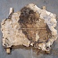Caucasian walnut burl, approx. 1200 x 990 x 50 mm, 41233