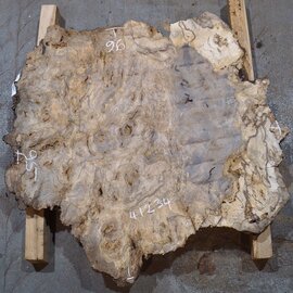 Kaukasischer Nussbaum Maser, ca. 950 x 950 x 50 mm, 41234