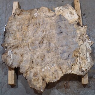 Kaukasischer Nussbaum Maser, ca. 950 x 950 x 50 mm, 41234