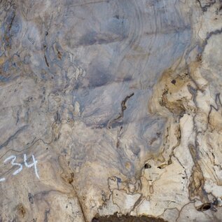 Caucasian walnut burl, approx. 950 x 950 x 50 mm, 41234