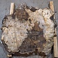 Kaukasischer Nussbaum Maser, ca. 950 x 950 x 50 mm, 41234