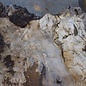 Kaukasischer Nussbaum Maser, ca. 950 x 950 x 50 mm, 41234