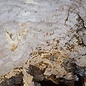 Caucasian elm burl, approx. 640 x 590 x 55 mm, 41236
