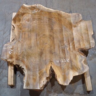 Europ. walnut burl, approx. 1160 x 1150 x 100 mm, 41238