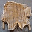 Europ. walnut burl, approx. 1160 x 1150 x 100 mm, 41238