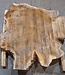 Europ. walnut burl, approx. 1160 x 1150 x 100 mm, 41238