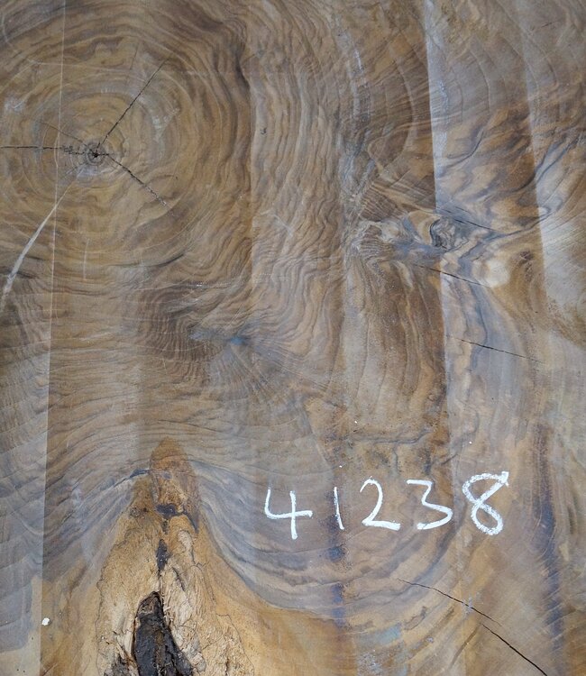 Europ. walnut burl, approx. 1160 x 1150 x 100 mm, 41238