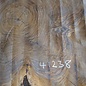 Europ. Nussbaum, ca. 1160 x 1150 x 100 mm, 41238