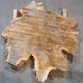 Europ. walnut burl, approx. 1280 x 1200 x 90 mm, 41239
