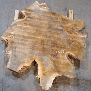 Europ. walnut burl, approx. 1280 x 1200 x 90 mm, 41239