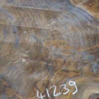 Europ. walnut burl, approx. 1280 x 1200 x 90 mm, 41239