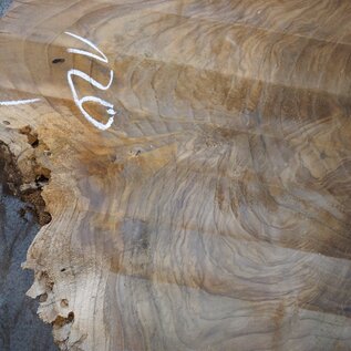 Europ. walnut burl, approx. 1280 x 1200 x 90 mm, 41239