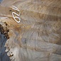 Europ. walnut burl, approx. 1280 x 1200 x 90 mm, 41239