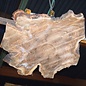 Europ. walnut burl, approx. 1280 x 1200 x 90 mm, 41239