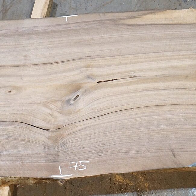 Europ. Walnut, approx. 2650 x 610/750/730 x 50 mm, 13631