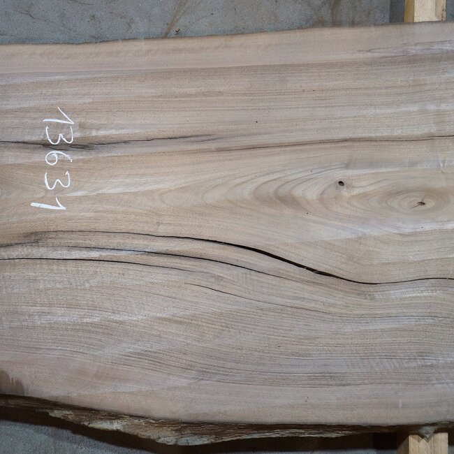 Europ. Nussbaum, ca. 2650 x 610/750/730 x 50 mm, 13631