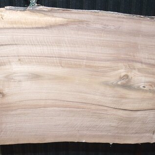 Europ. Walnut, approx. 2650 x 610/750/730 x 50 mm, 13631