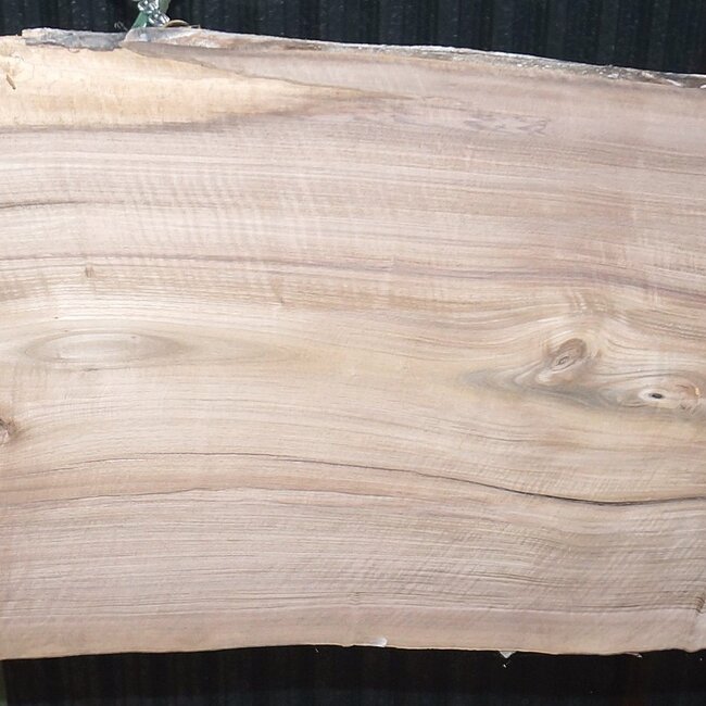 Europ. Nussbaum, ca. 2650 x 610/750/730 x 50 mm, 13631