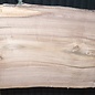 Europ. Nussbaum, ca. 2650 x 610/750/730 x 50 mm, 13631