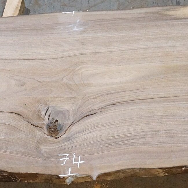 Europ. Walnut, approx. 2650 x 580/740/700 x 52 mm, 13632