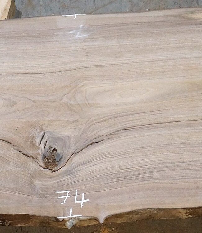 Europ. Nussbaum, ca. 2650 x 580/740/700 x 52 mm, 13632