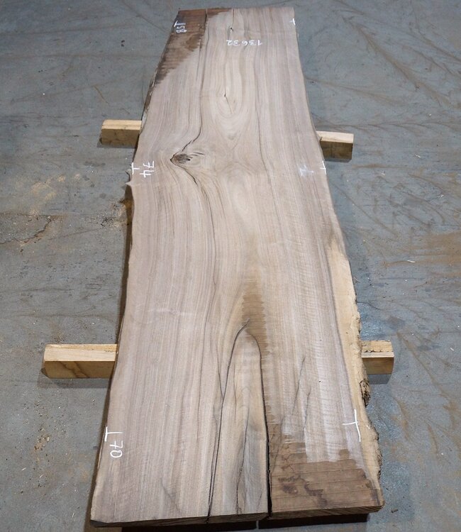 Europ. Nussbaum, ca. 2650 x 580/740/700 x 52 mm, 13632