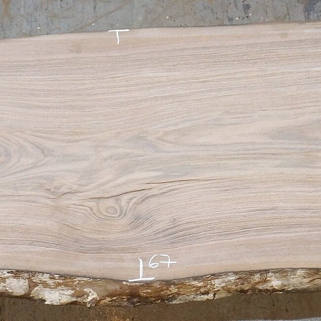 Europ. Walnut, approx. 2650 x 580/670/720 x 52 mm, 13633