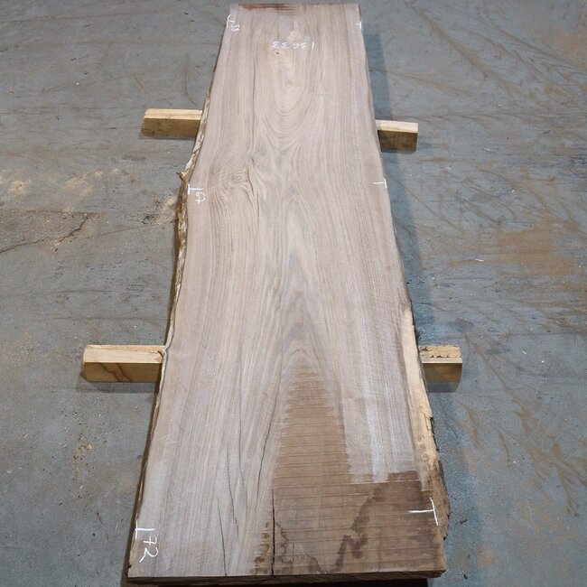 Europ. Walnut, approx. 2650 x 580/670/720 x 52 mm, 13633