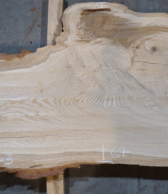 Eiche, ca. 2450 x 430/670/500 x 52 mm, 13642