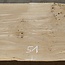 Oak, approx. 2550 x 540/510/350 x 48 mm, 13646