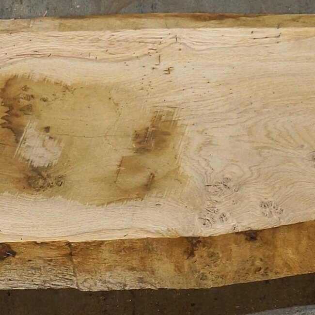 Eiche, ca. 2550 x 540/510/350 x 48 mm, 13646