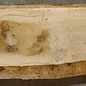 Oak, approx. 2550 x 540/510/350 x 48 mm, 13646