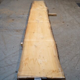 Lebanon Cedar table top, approx. 5000 x 960/810/710 x 62 mm, 13648