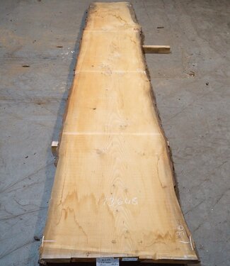 Lebanon Cedar table top, approx. 5000 x 960/810/710 x 62 mm, 13648
