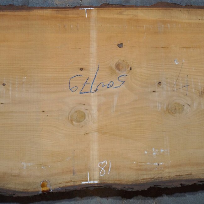 Lebanon Cedar table top, approx. 5000 x 960/810/710 x 62 mm, 13648