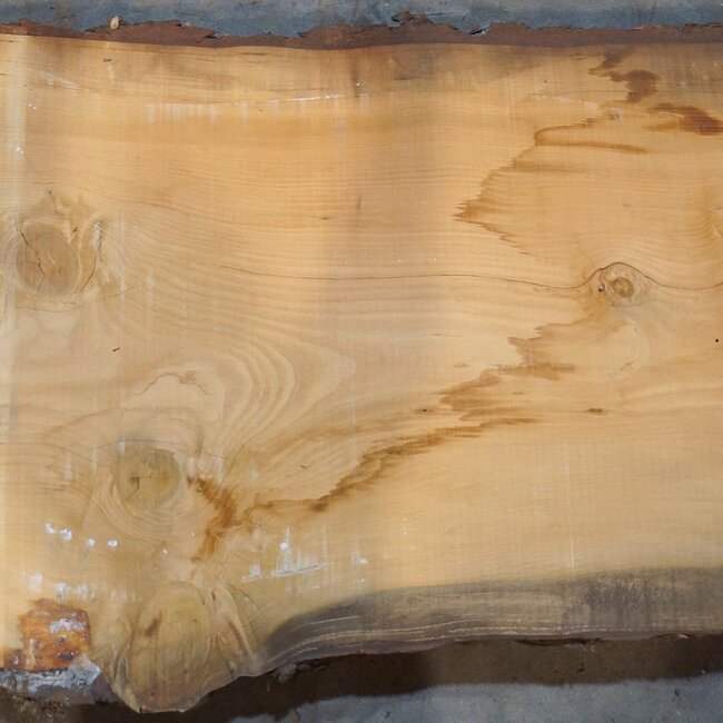 Lebanon Cedar table top, approx. 5000 x 960/810/710 x 62 mm, 13648