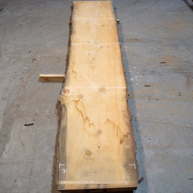 Libanon Zeder Tischplatte, ca. 5000 x 960/810/710 x 62 mm, 13648