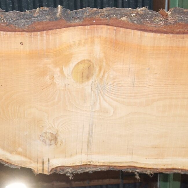 Lebanon Cedar table top, approx. 5000 x 960/810/710 x 62 mm, 13648
