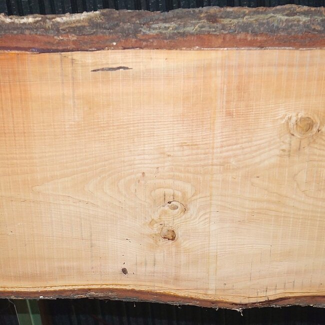 Lebanon Cedar table top, approx. 5000 x 960/810/710 x 62 mm, 13648