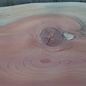 Redwood table top, approx. 3900 x 610/650/740 x 50 mm, 13649