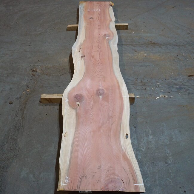 Redwood table top, approx. 3900 x 610/650/740 x 50 mm, 13649
