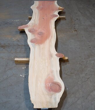 Redwood table top, approx. 4000 x 410/580/910 x 55 mm, 13650